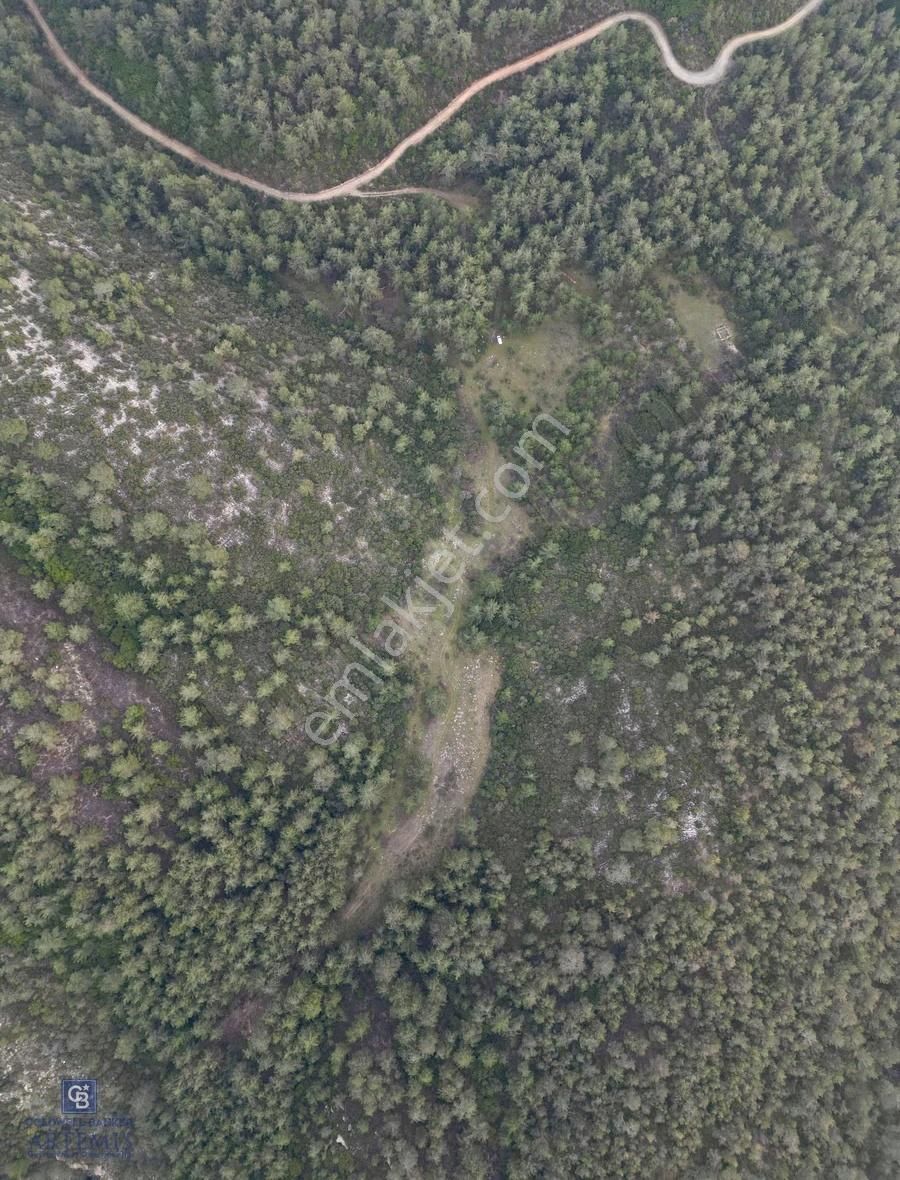 Milas Yusufcada 52.400 M2 Kaçırılmayacak Tarla Fırsatı! - Görsel 6