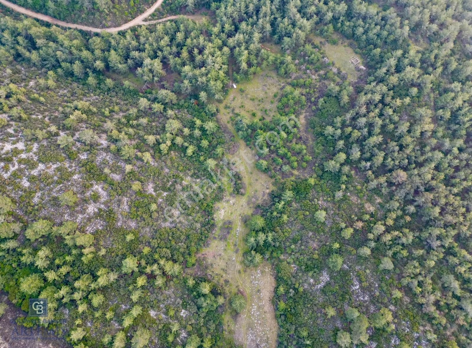 Milas Yusufcada 52.400 M2 Kaçırılmayacak Tarla Fırsatı!