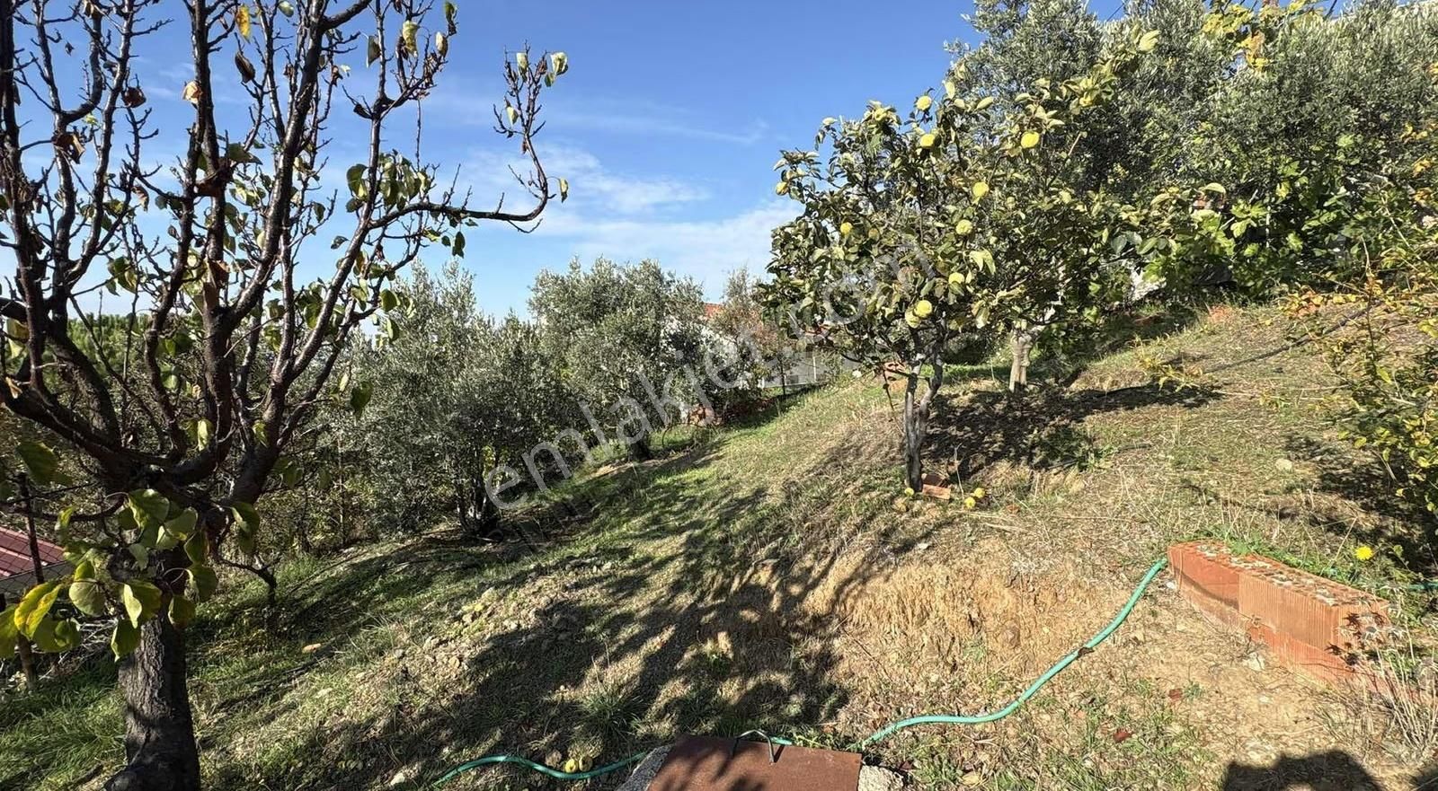 Seferihisar Bahçe Köy Sitesi 120 M2 Müstakil Ev - Görsel 13