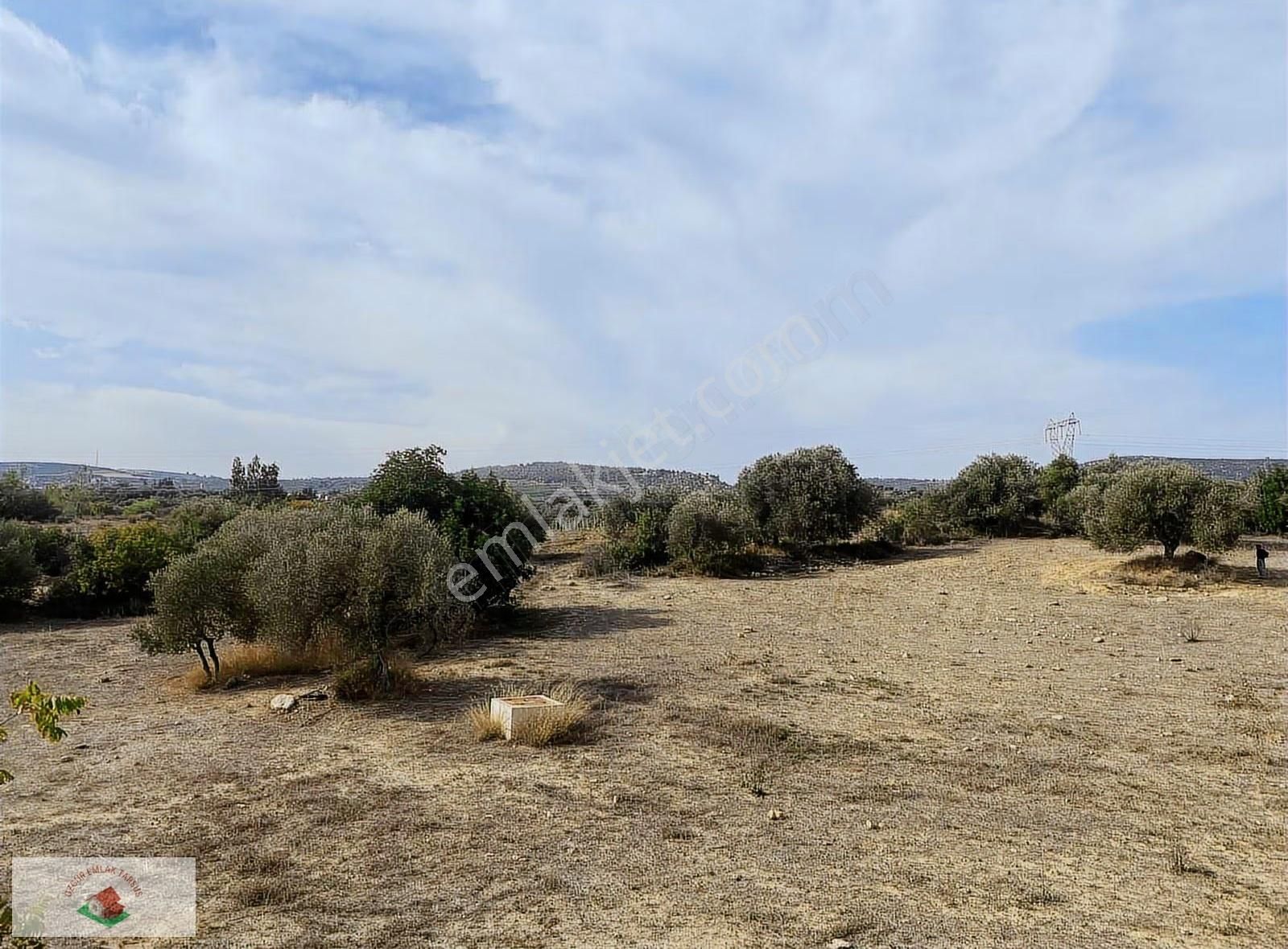 Topraksız Çilek , Domates Muz Serasına Uygun Arsa 15.5 Dnm - Görsel 2