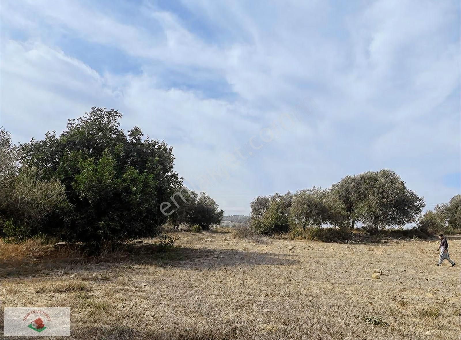 Topraksız Çilek , Domates Muz Serasına Uygun Arsa 15.5 Dnm - Görsel 6