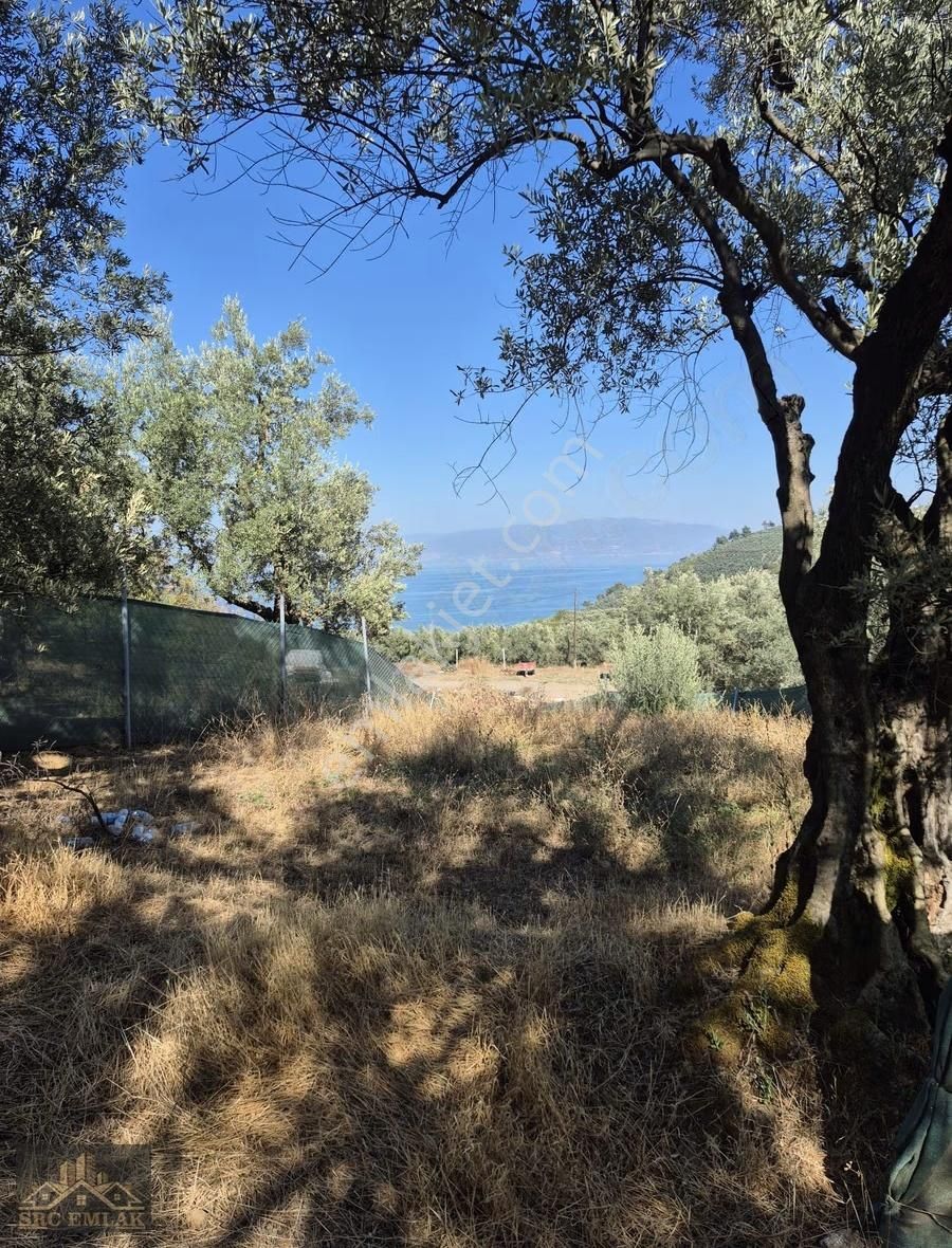 Src Emlak İznik Müşküle De Göl Manzaralı Müstakil Parsel.