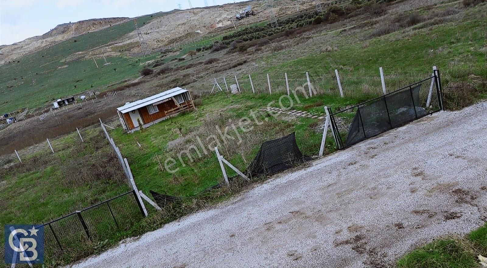 Çaltılıderede Yola Cephe 425m2 İçerisine Konteyner Bulunan Tarla - Görsel 7