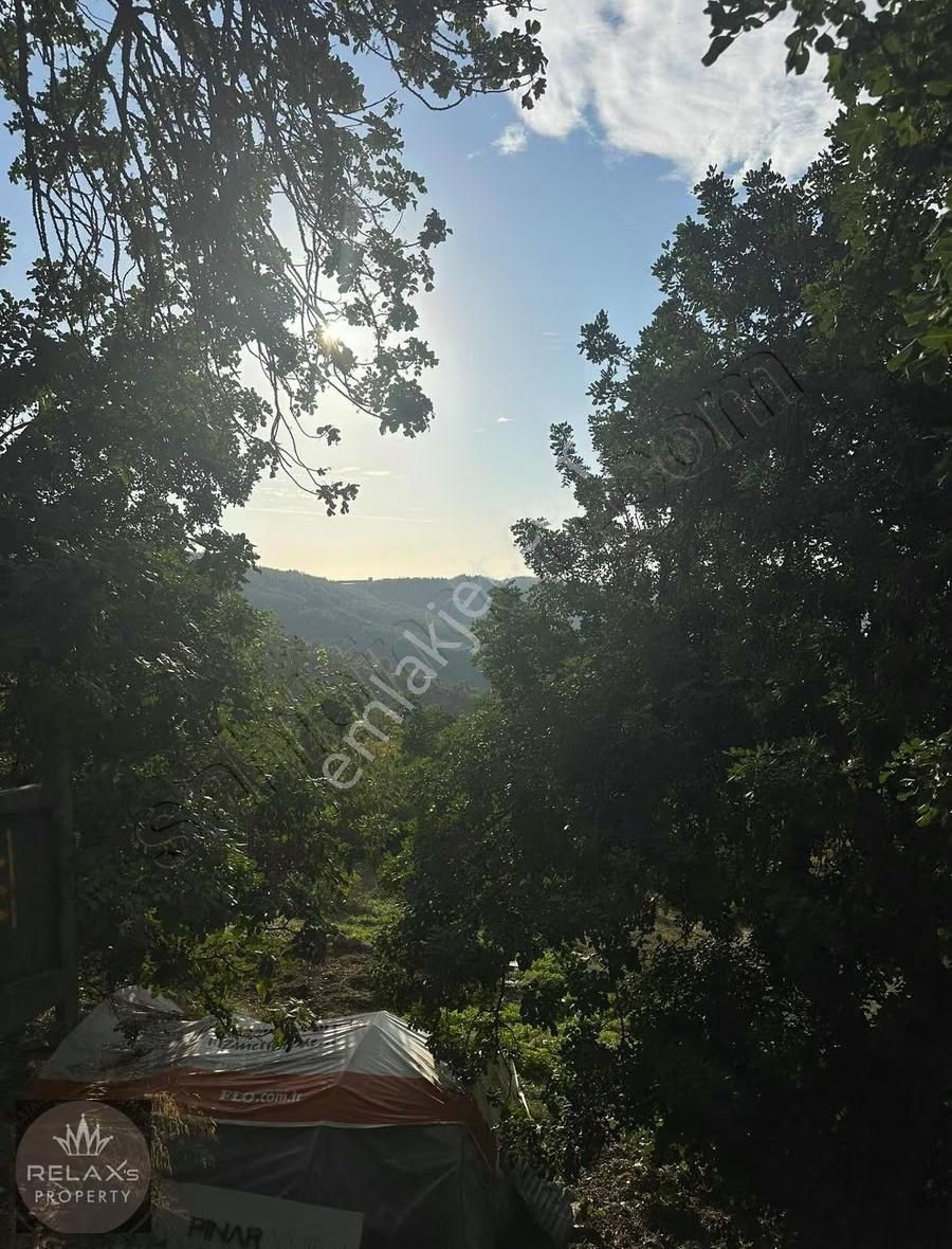 Soğukpınar Köyünde Satılık Tarla! - Görsel 2