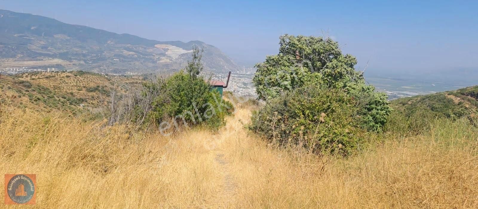 Söke Ağaçlı Köyünün Üst Tarafında Bulunan 3 Dönum Boş Arazi - Görsel 17