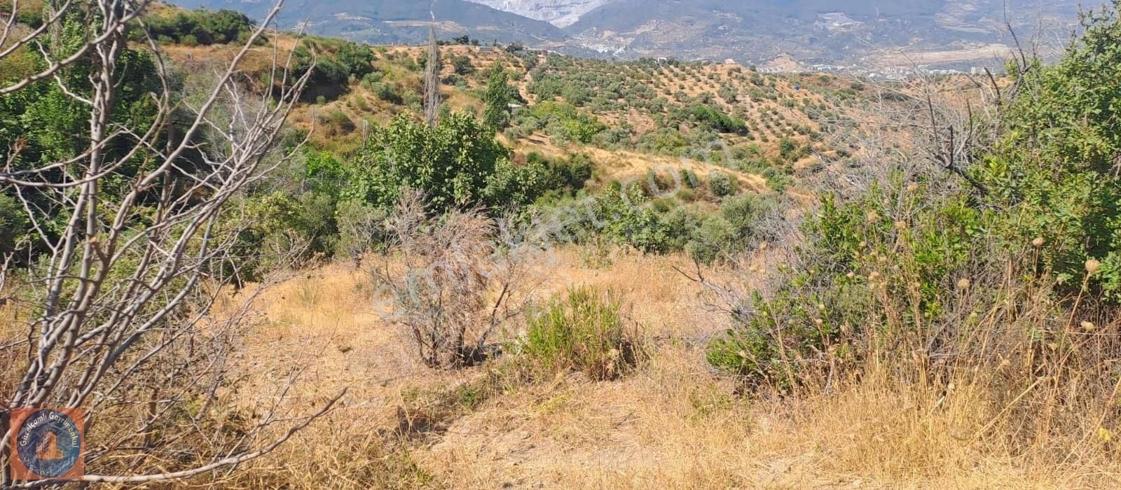 Söke Ağaçlı Köyünün Üst Tarafında Bulunan 3 Dönum Boş Arazi - Görsel 12