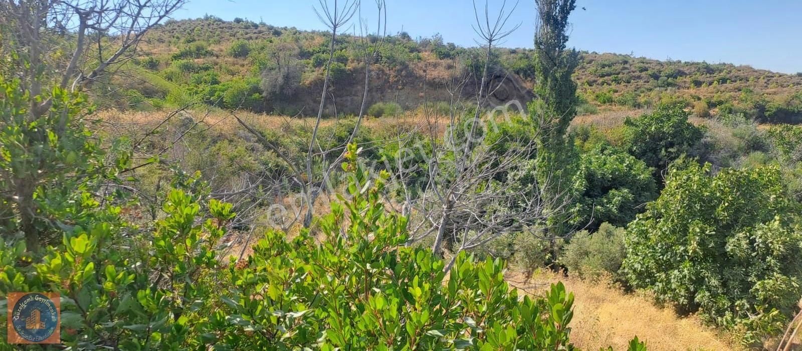 Söke Ağaçlı Köyünün Üst Tarafında Bulunan 3 Dönum Boş Arazi - Görsel 18