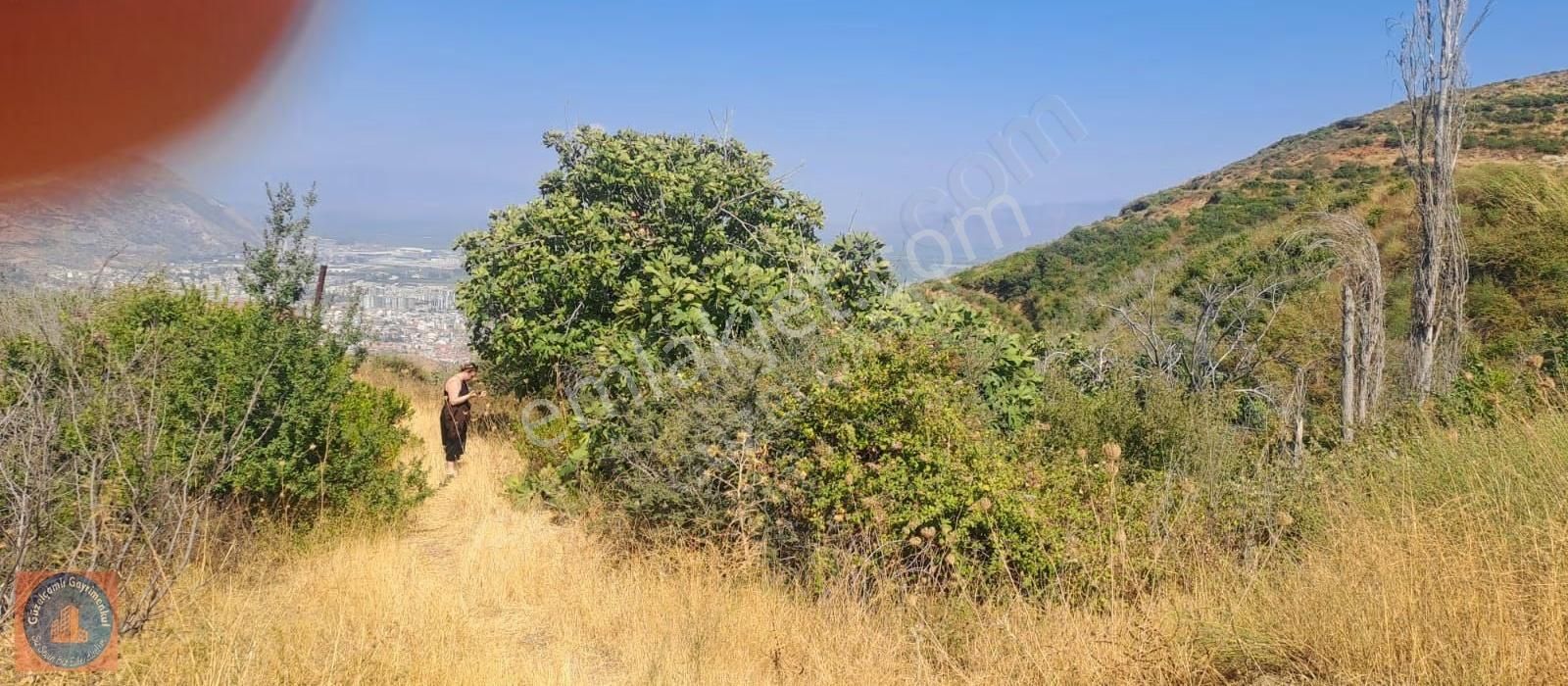 Söke Ağaçlı Köyünün Üst Tarafında Bulunan 3 Dönum Boş Arazi