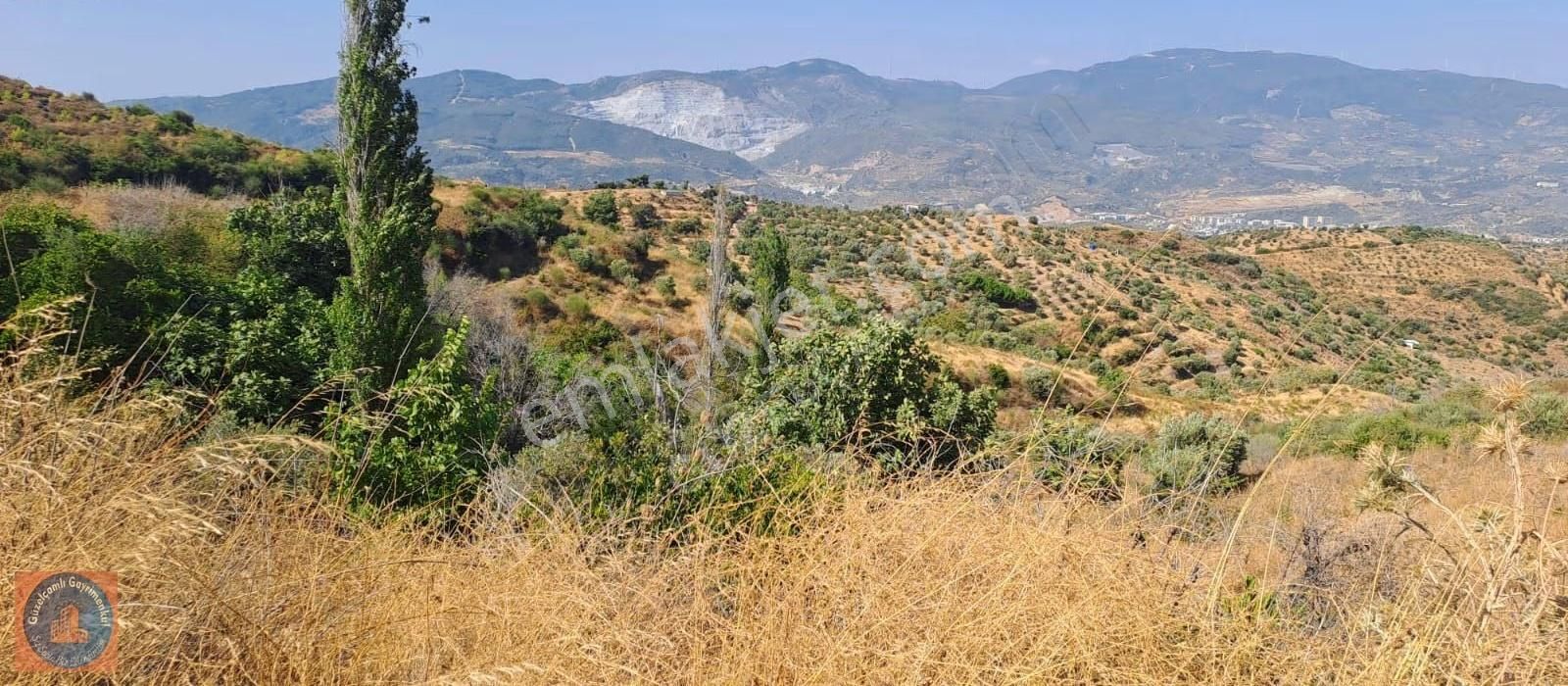 Söke Ağaçlı Köyünün Üst Tarafında Bulunan 3 Dönum Boş Arazi - Görsel 15