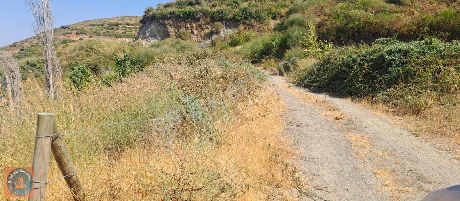 Söke Ağaçlı Köyünün Üst Tarafında Bulunan 3 Dönum Boş Arazi - Görsel 8