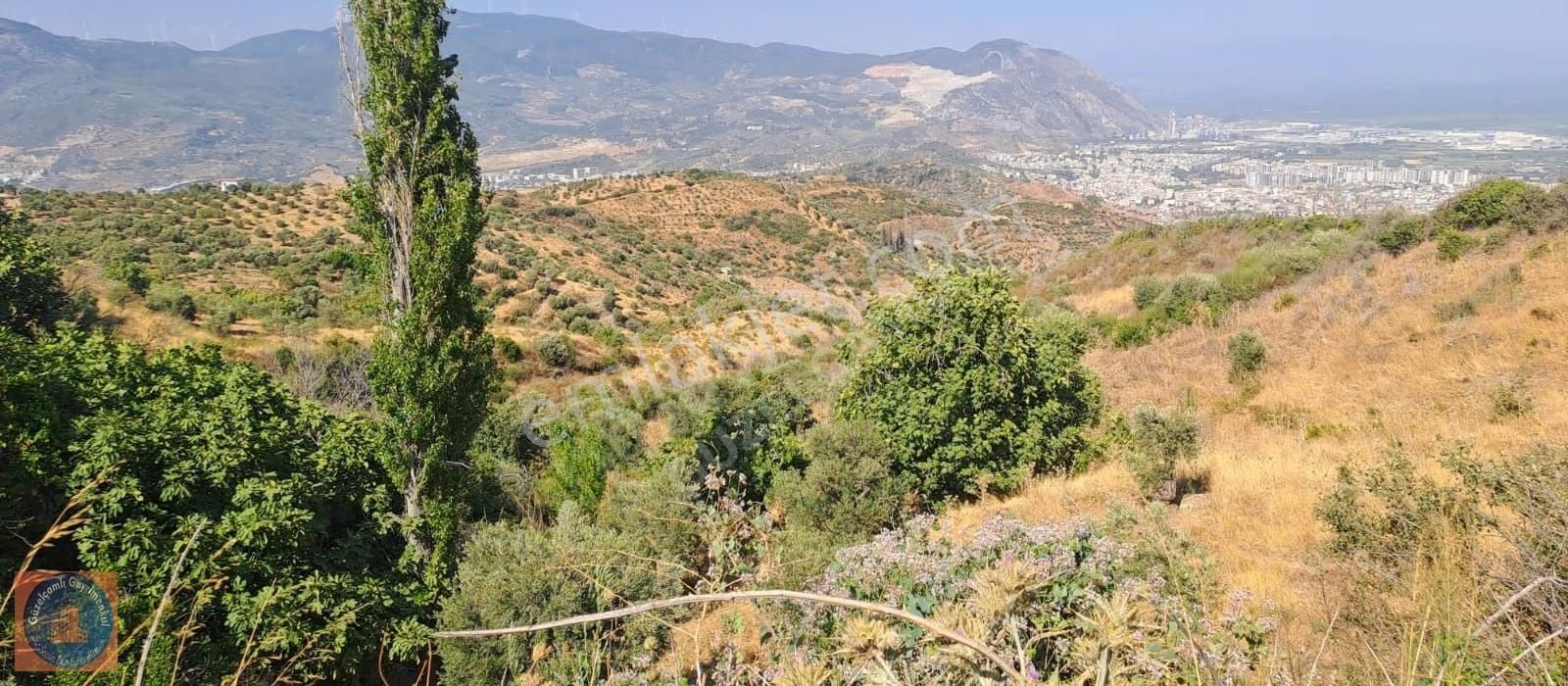 Söke Ağaçlı Köyünün Üst Tarafında Bulunan 3 Dönum Boş Arazi - Görsel 10