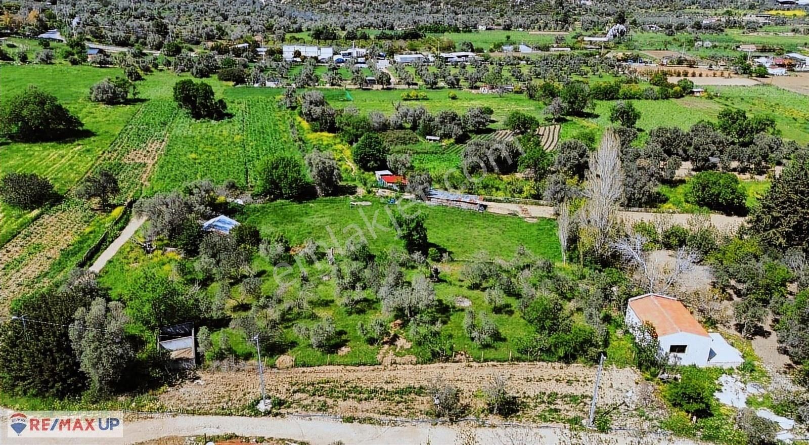 Balıklıovada Yatırıma Uygun, Yolu Ve Altyapısı Hazır Tarla - Görsel 2