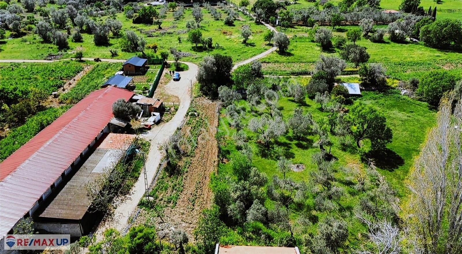 Balıklıovada Yatırıma Uygun, Yolu Ve Altyapısı Hazır Tarla