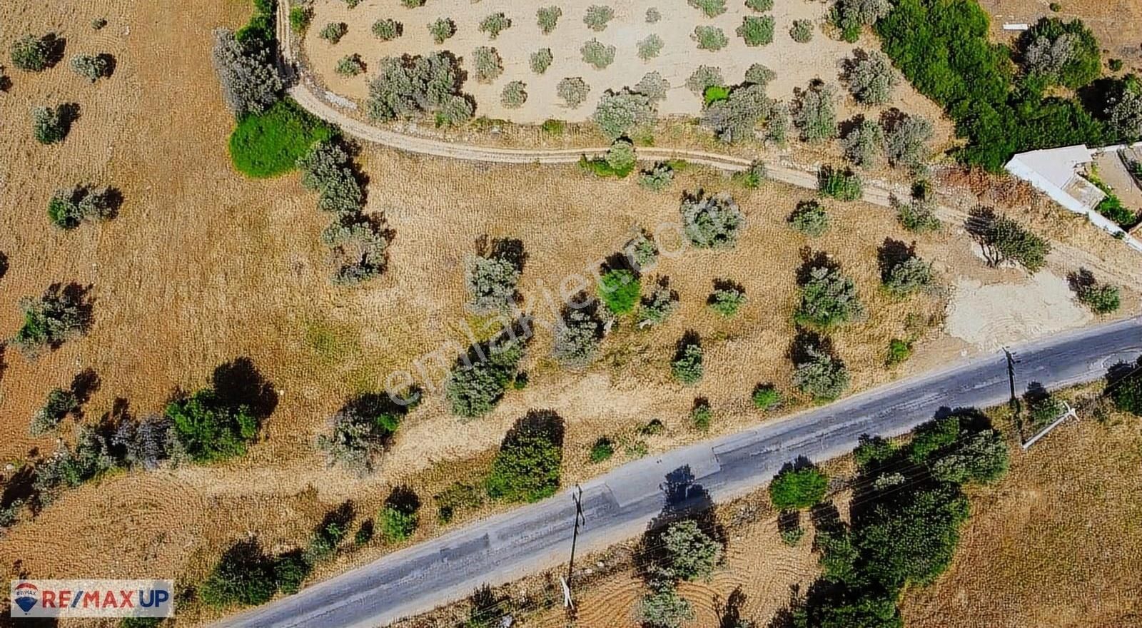 Acil Satılık ( Araç Takası Değerlendirilir)