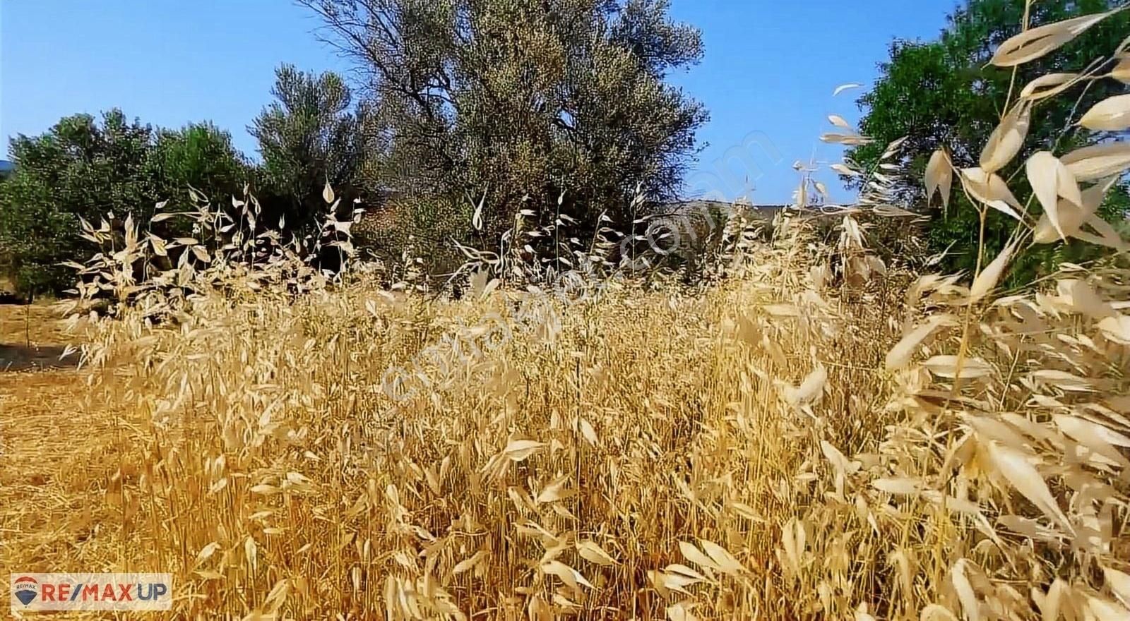 Acil Satılık ( Araç Takası Değerlendirilir) - Görsel 14