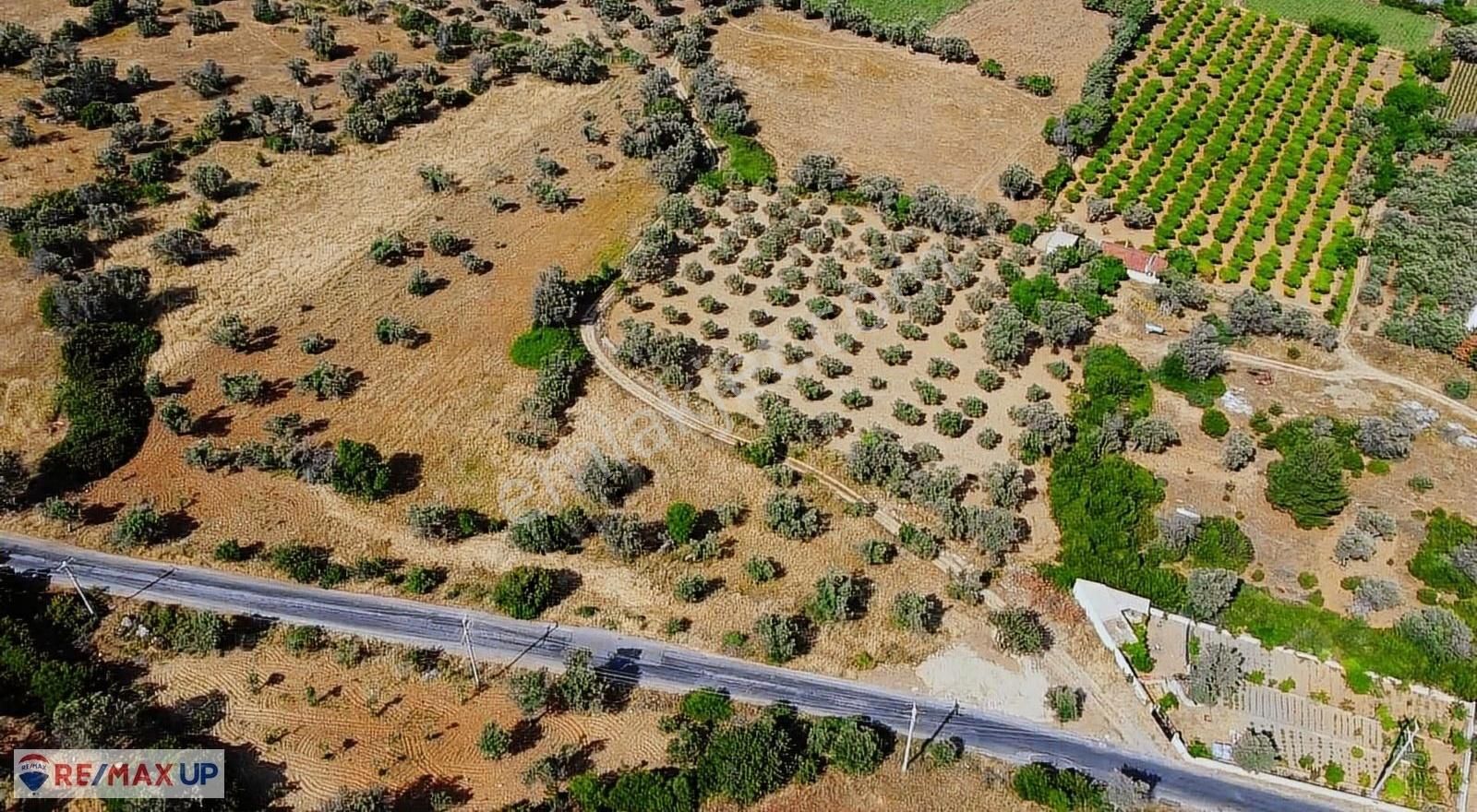 Acil Satılık ( Araç Takası Değerlendirilir) - Görsel 13