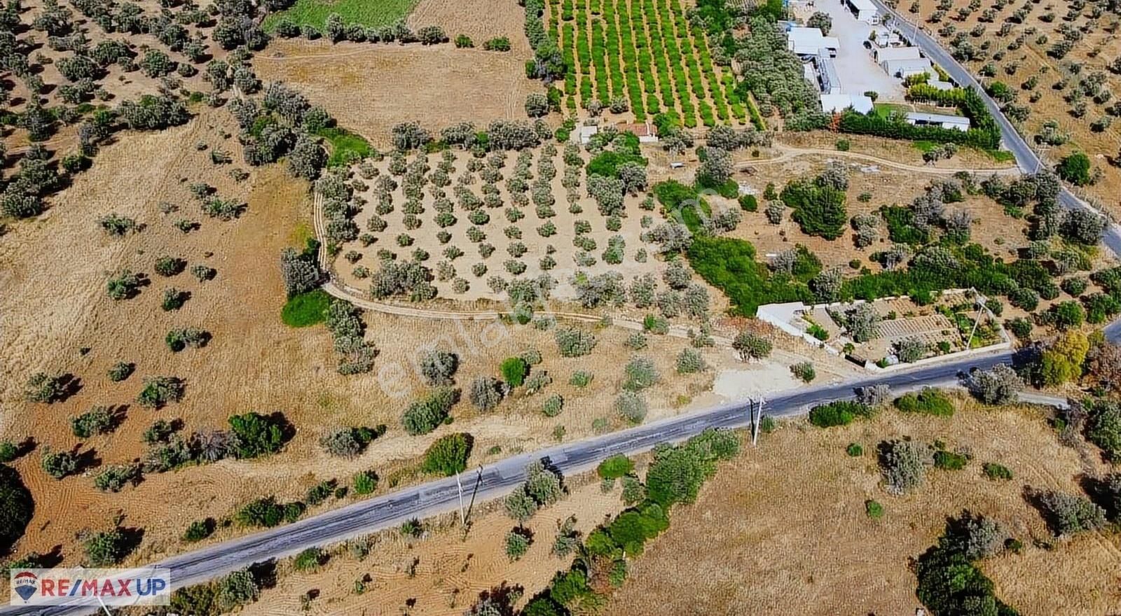 Acil Satılık ( Araç Takası Değerlendirilir) - Görsel 21