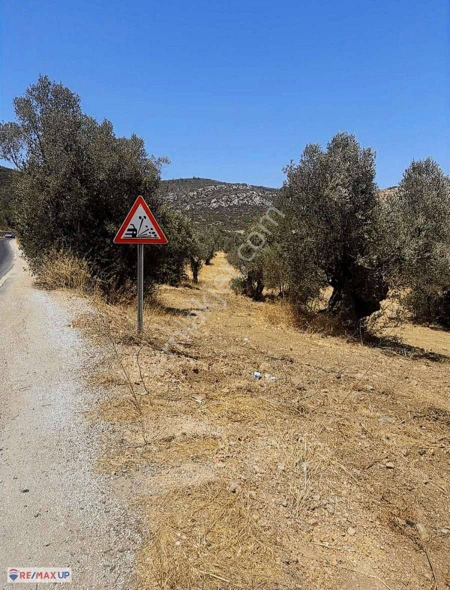 Acil Satılık ( Araç Takası Değerlendirilir) - Görsel 26