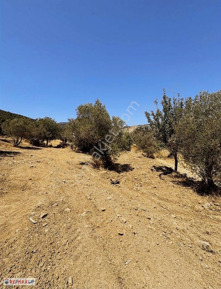 Acil Satılık ( Araç Takası Değerlendirilir) - Görsel 12