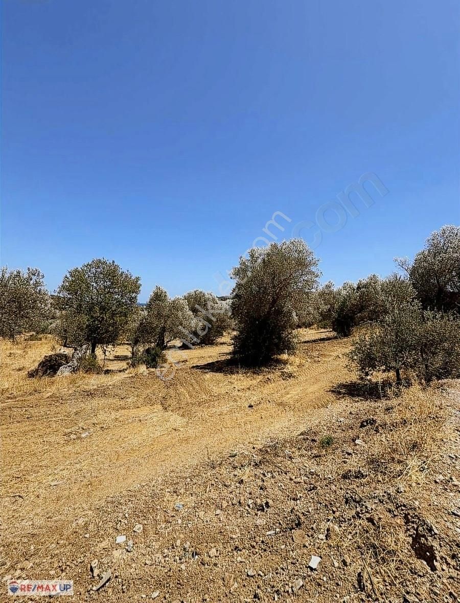 Acil Satılık ( Araç Takası Değerlendirilir) - Görsel 23