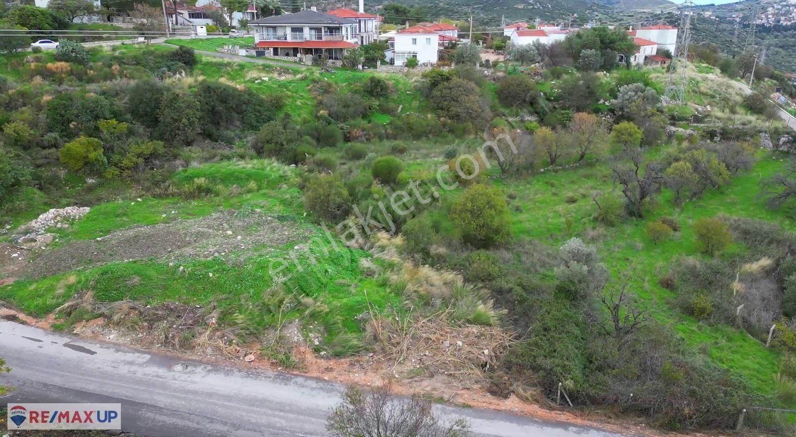 Karaburun Saip'te İmar Planında Yer Alan Anayola Cepheli Tarla - Görsel 4