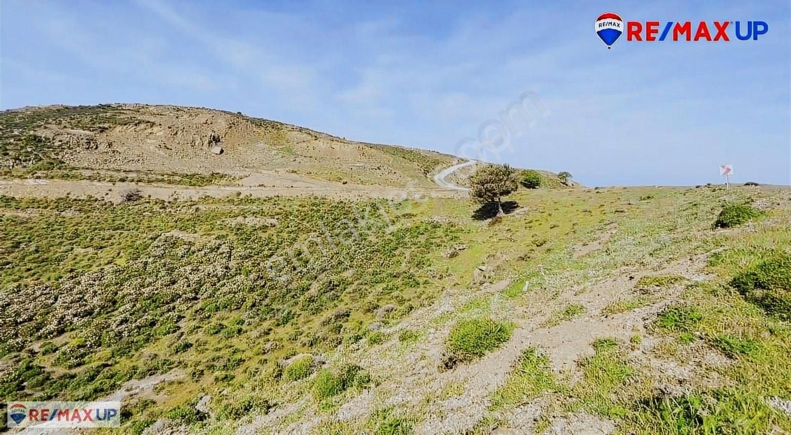 Sarpıncık Da İçerisinde Suyu ,yolu Olan Deniz Manzaralı Arazi - Görsel 28