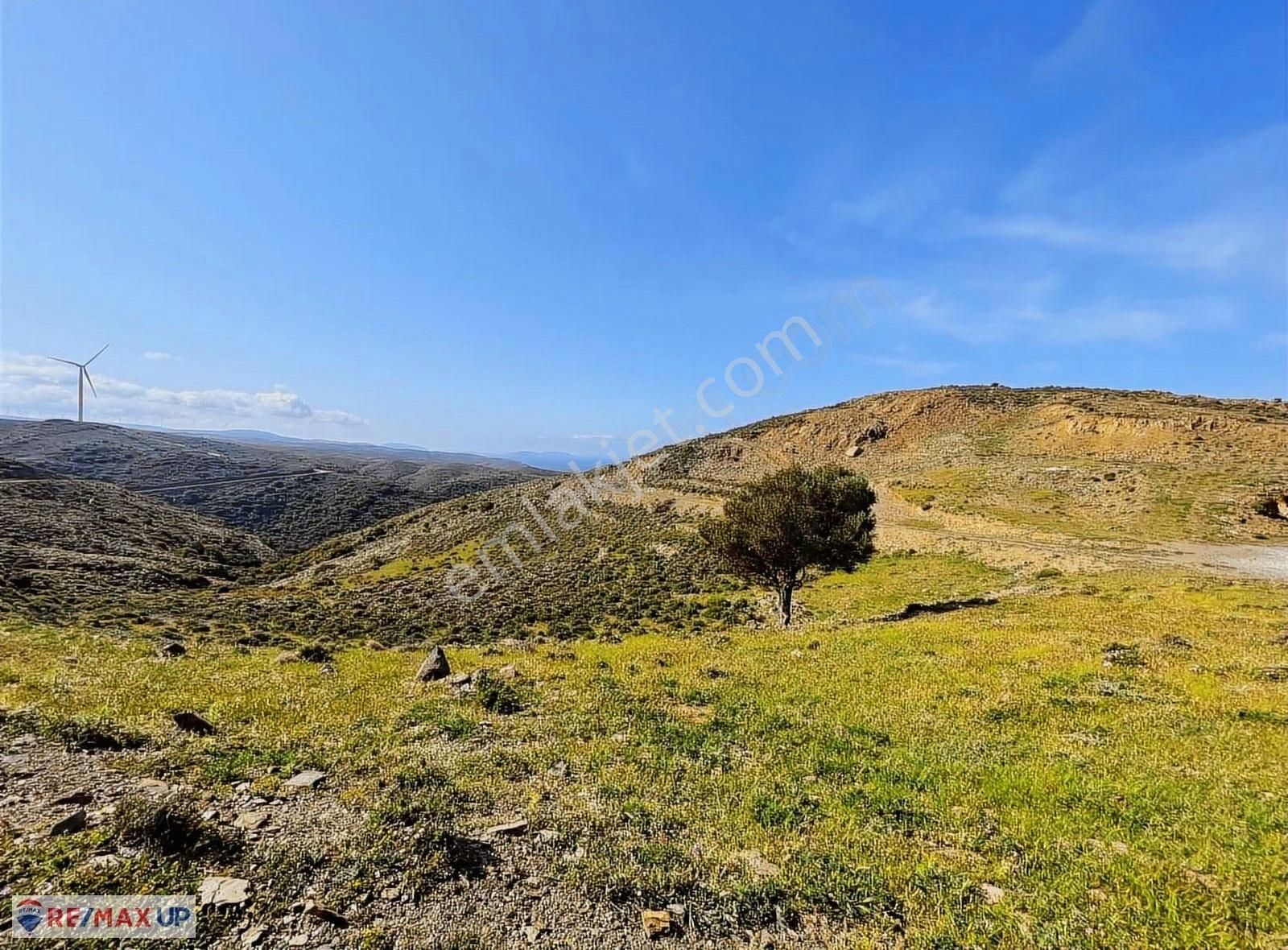 Sarpıncık Da İçerisinde Suyu ,yolu Olan Deniz Manzaralı Arazi - Görsel 7