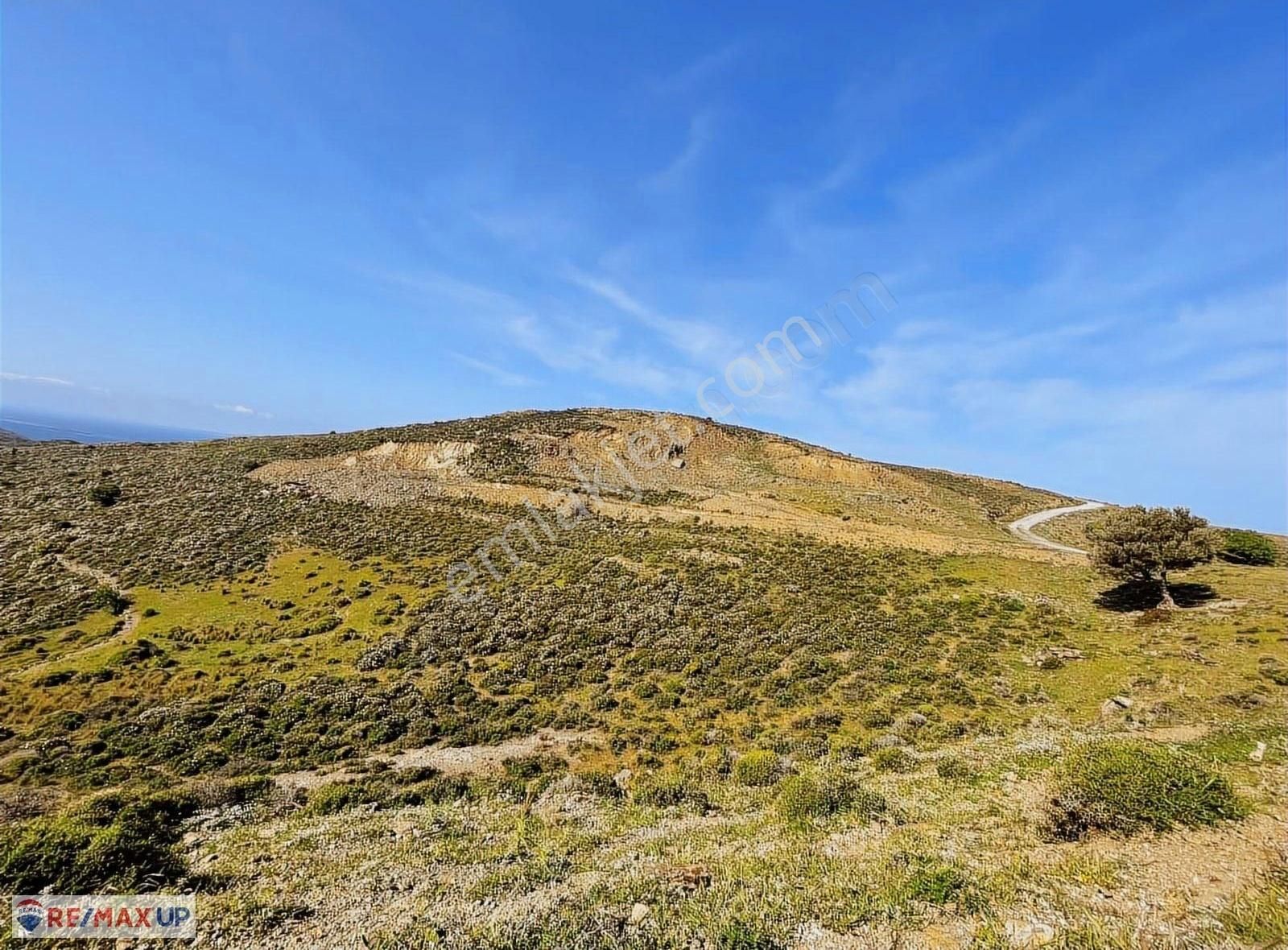 Sarpıncık Da İçerisinde Suyu ,yolu Olan Deniz Manzaralı Arazi - Görsel 10