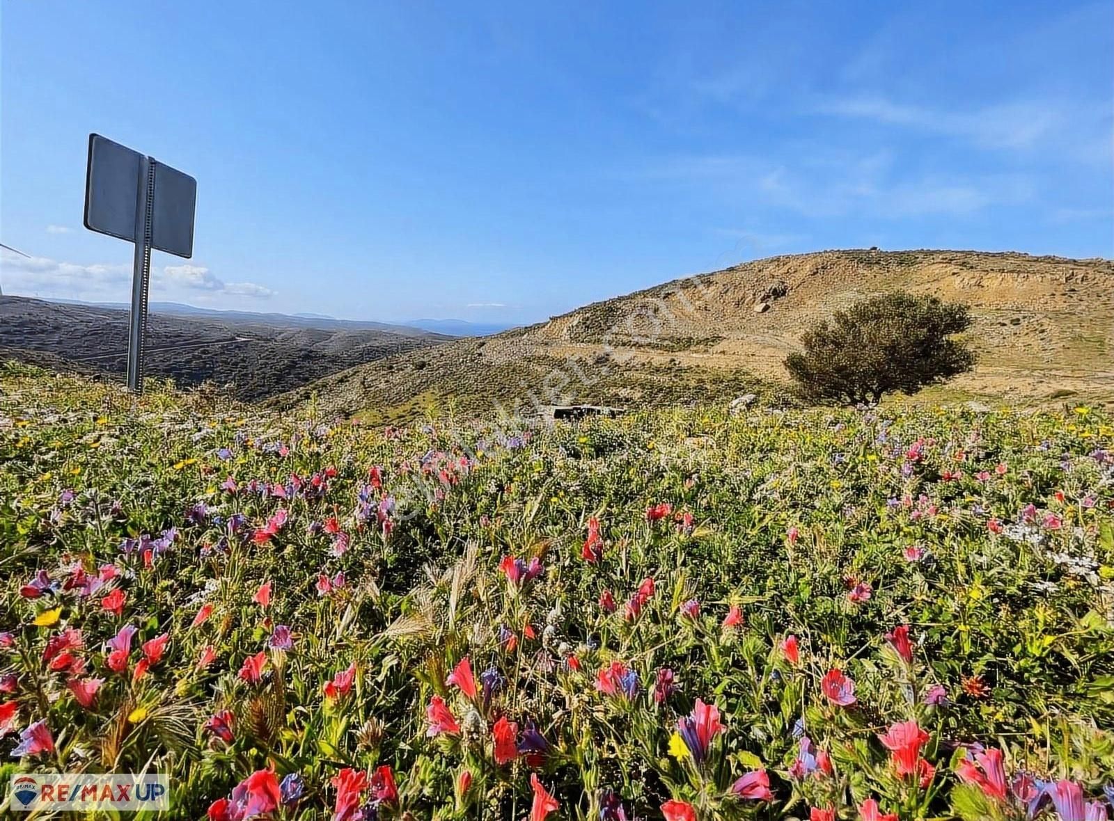 Sarpıncık Da İçerisinde Suyu ,yolu Olan Deniz Manzaralı Arazi - Görsel 21