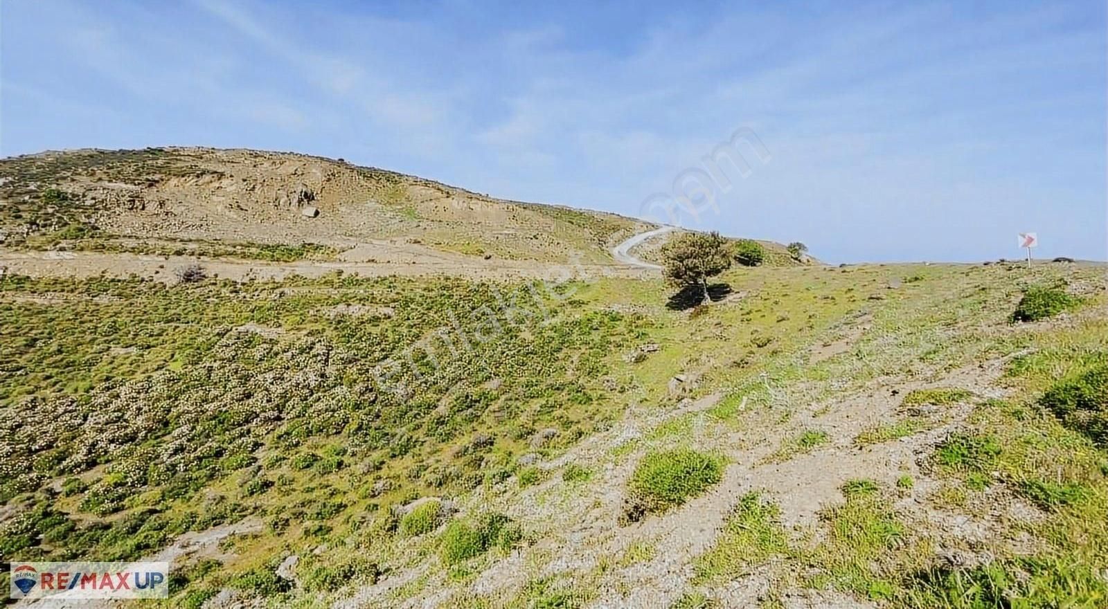 Sarpıncık Da İçerisinde Suyu ,yolu Olan Deniz Manzaralı Arazi - Görsel 24