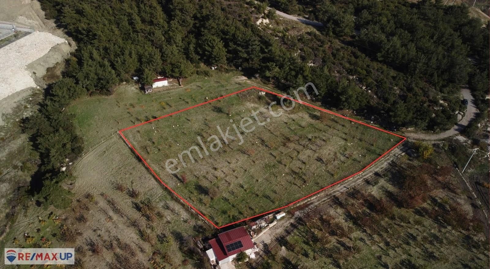 Beşyol Merkez'de 4503 M2 Düz Verimli Arazi - Görsel 4