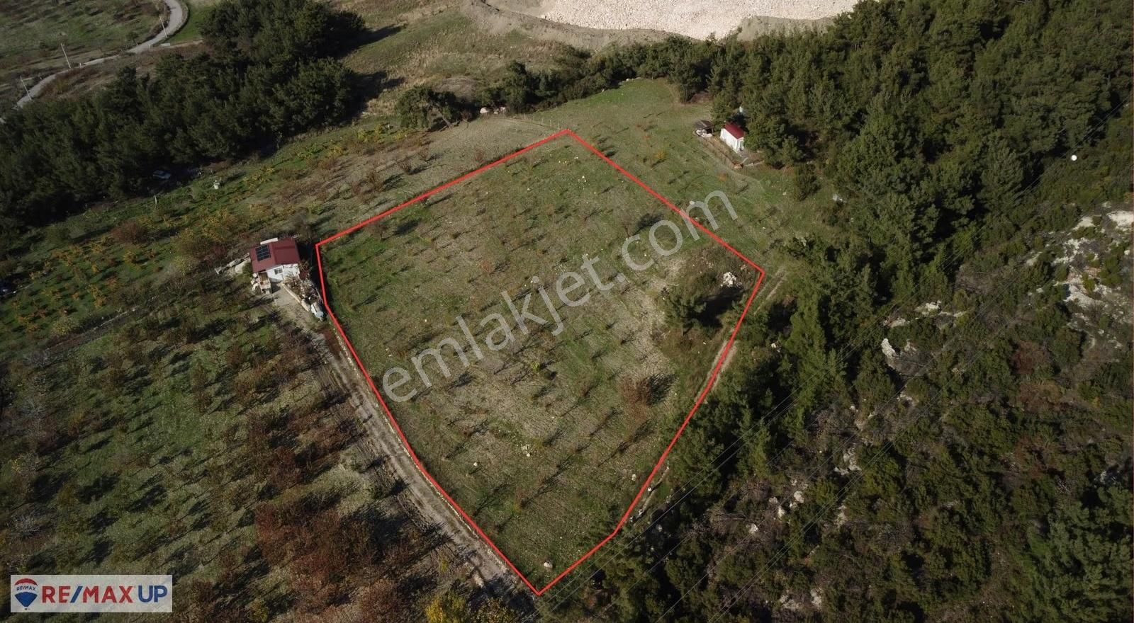 Beşyol Merkez'de 4503 M2 Düz Verimli Arazi - Görsel 3