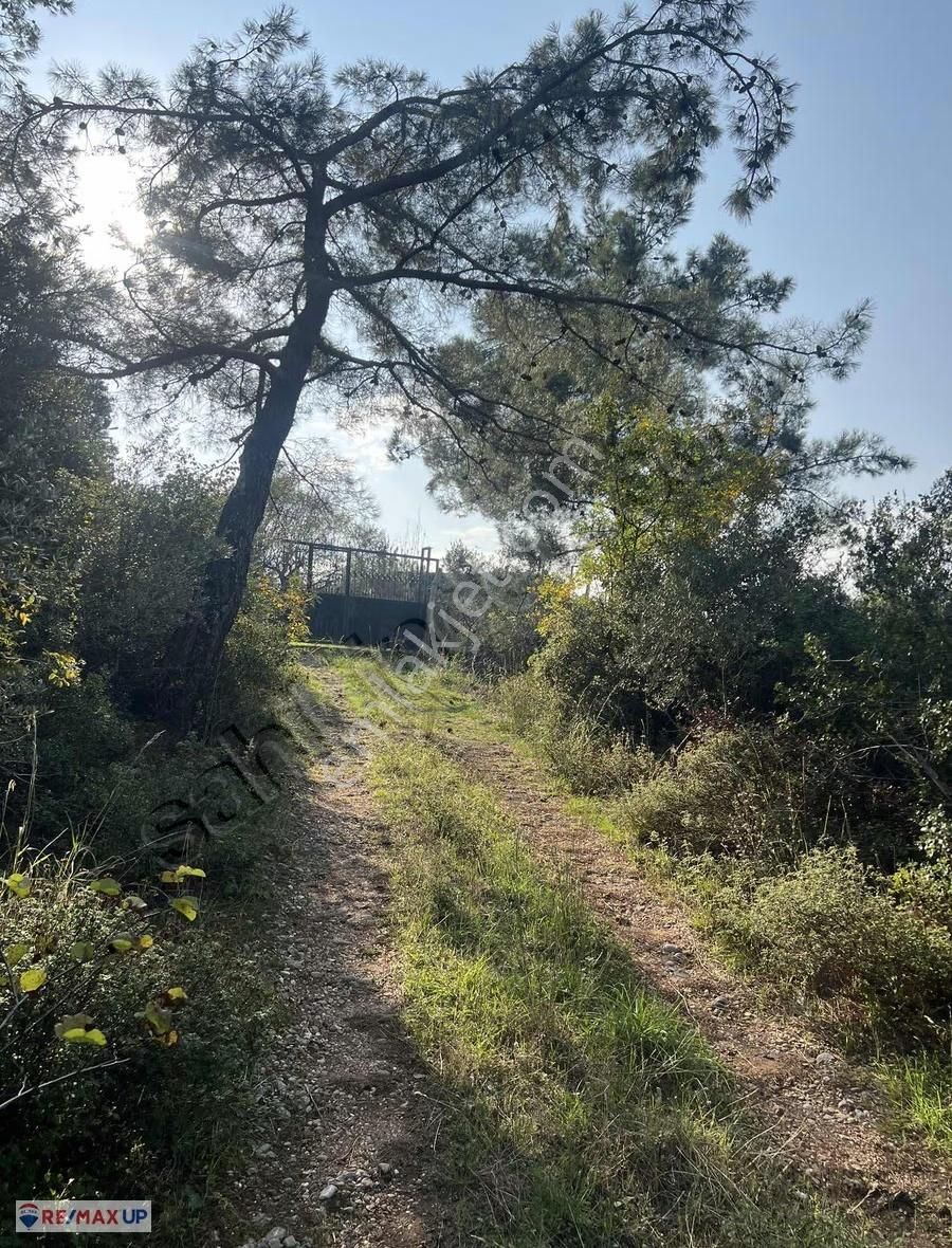 Kemalpaşa Yeşilköy Mahallesinde Özenle Bakımı Yapılmış Tarla