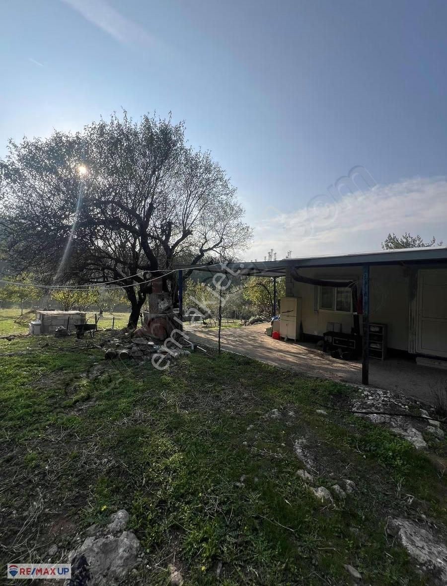 Kemalpaşa Yeşilköy Mahallesinde Özenle Bakımı Yapılmış Tarla - Görsel 14