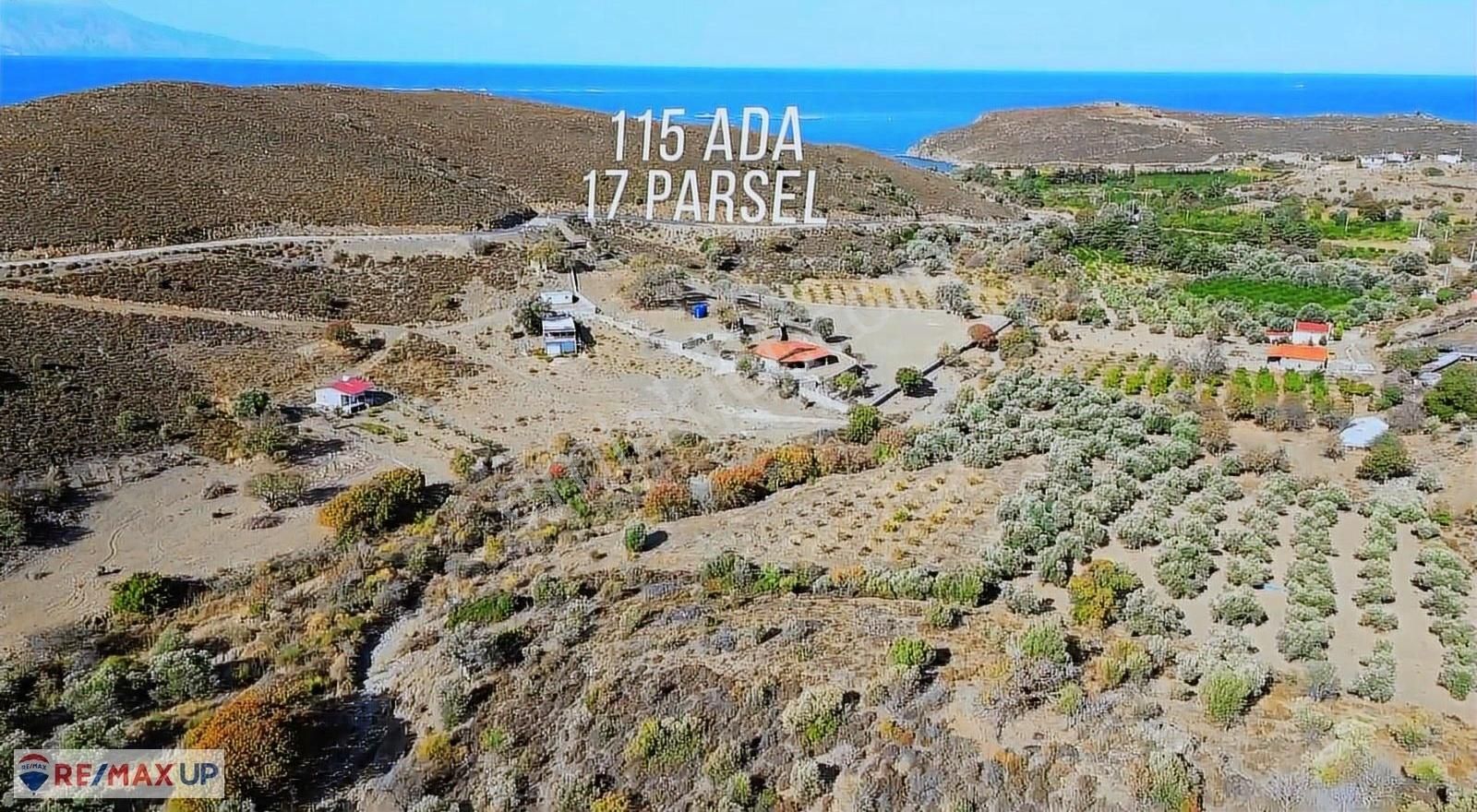 Karaburun Parlak Mahallesinde Denize Yakın Suyu Olan Arazi - Görsel 2