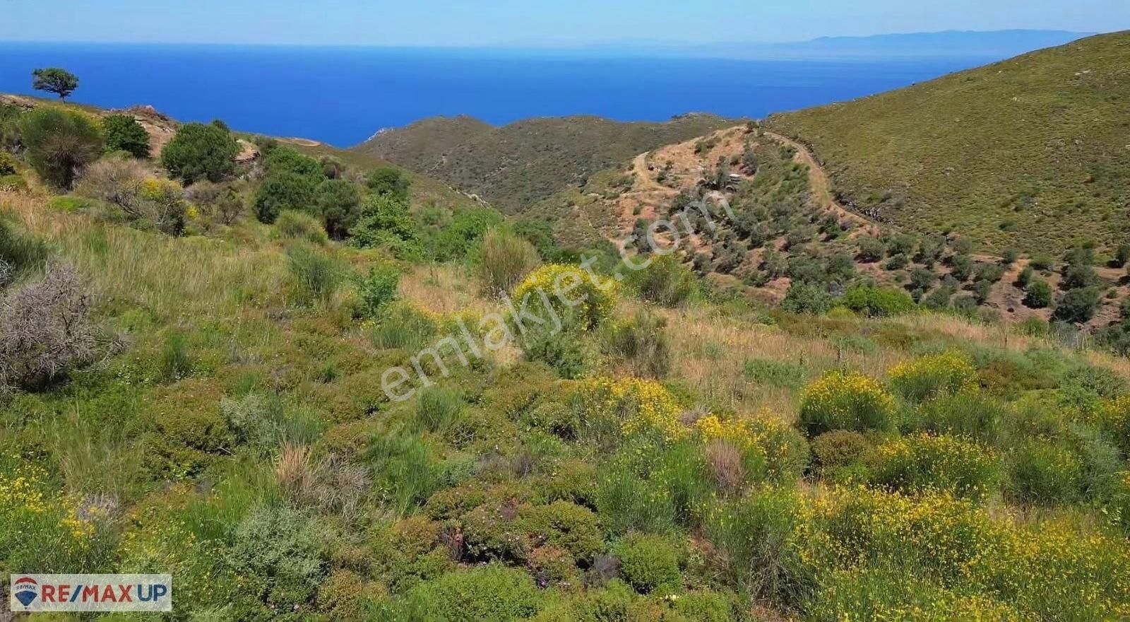 Sarpıncık Mahallesi Satılık Arazi - Görsel 10