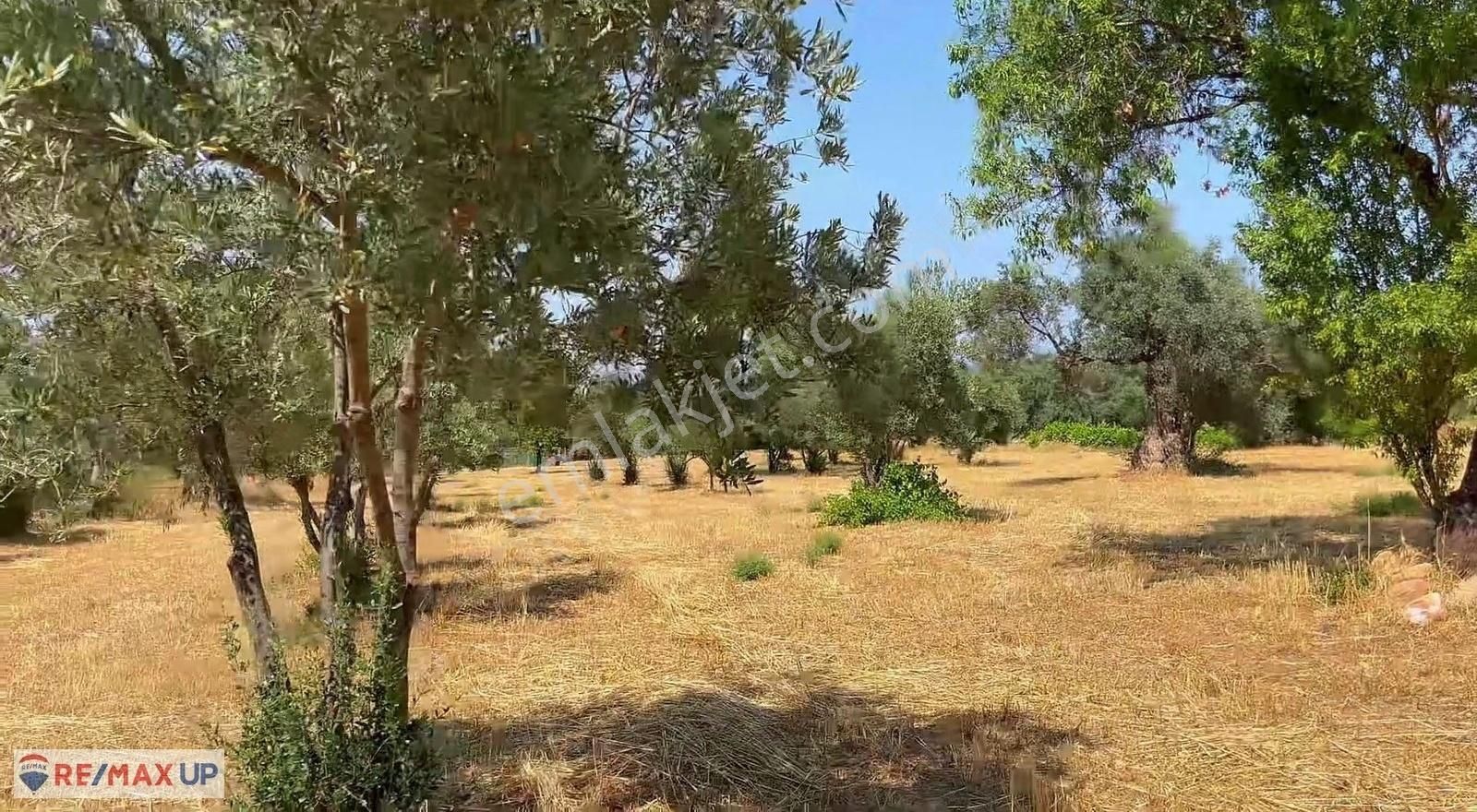 Görece Merkez 1 Dakika! Yola Sıfır 5427 M² Arazi - Görsel 12