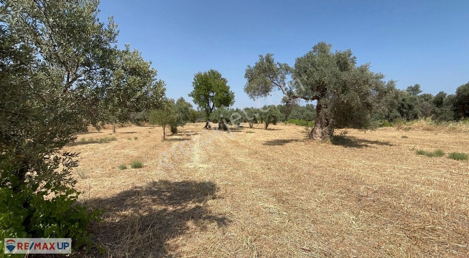 Görece Merkez 1 Dakika! Yola Sıfır 5427 M² Arazi - Görsel 18