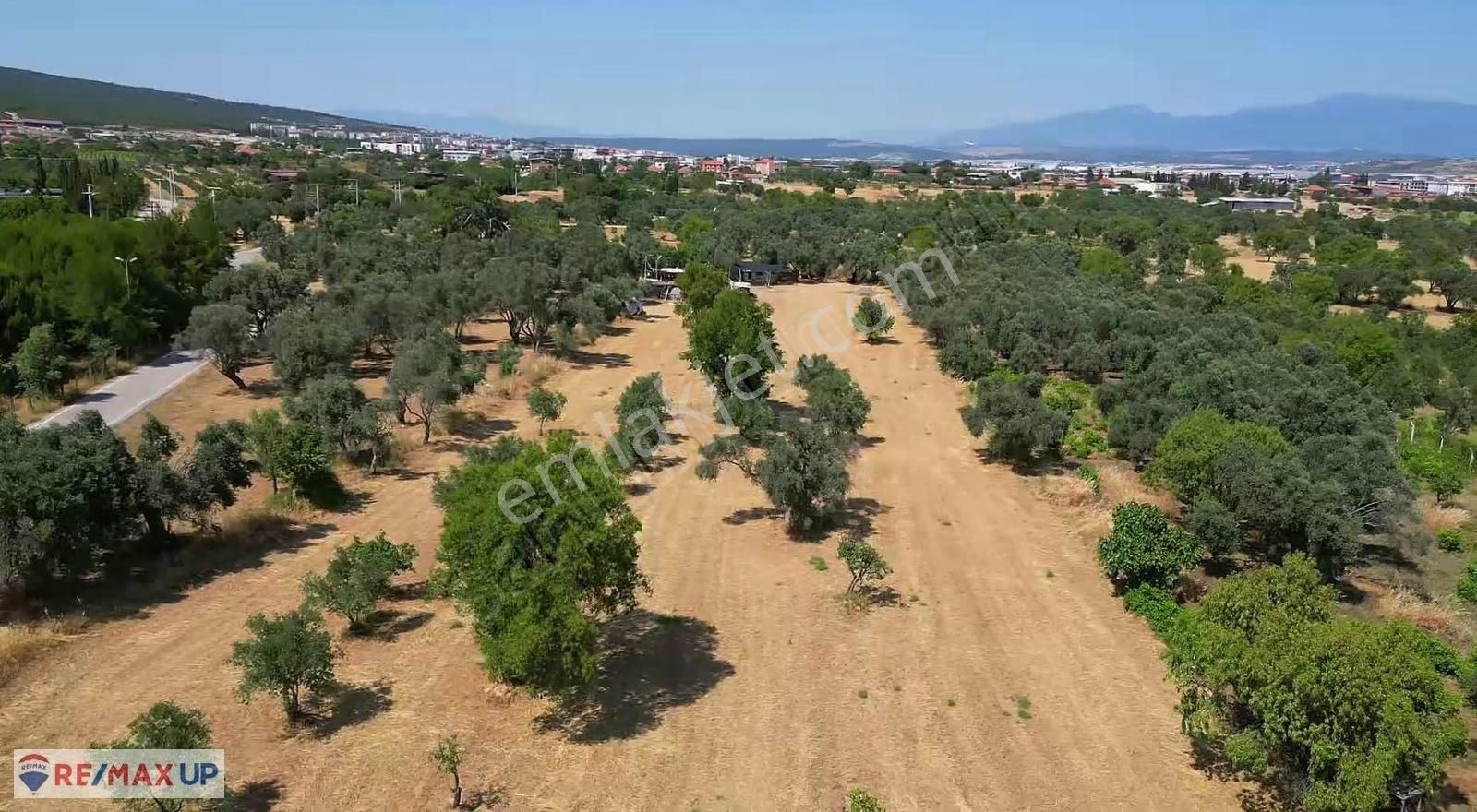 Görece Merkez 1 Dakika! Yola Sıfır 5427 M² Arazi - Görsel 3