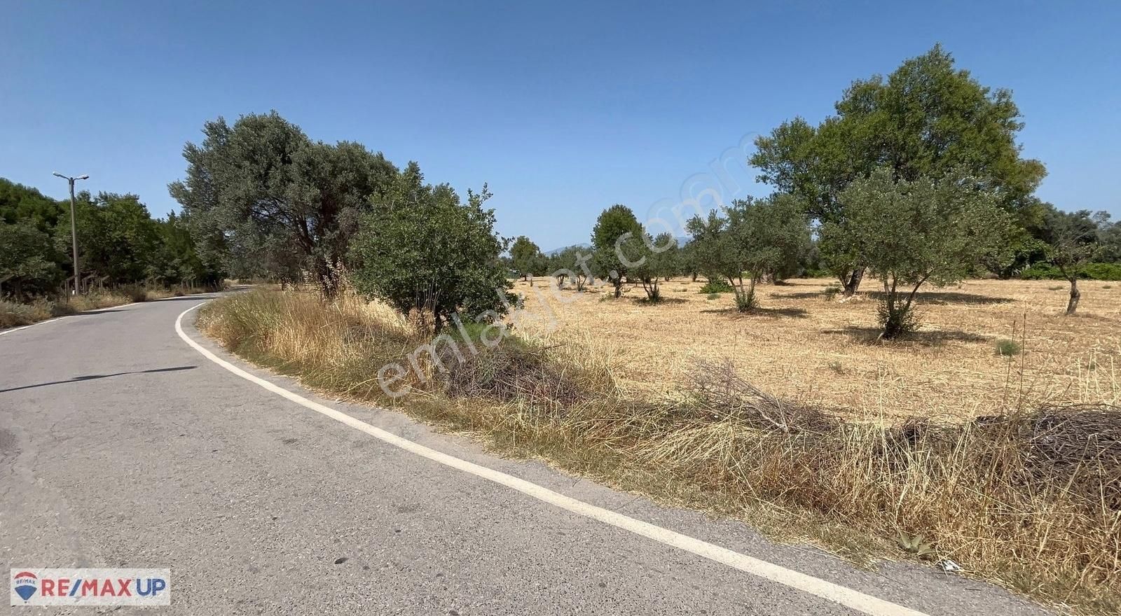 Görece Merkez 1 Dakika! Yola Sıfır 5427 M² Arazi - Görsel 7