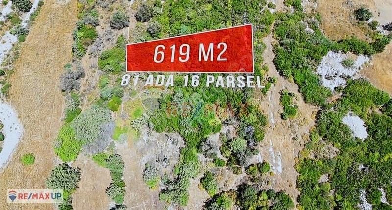 Bodrum Koyuna 400 M Mesafede 619 M² Bağ - Görsel 6