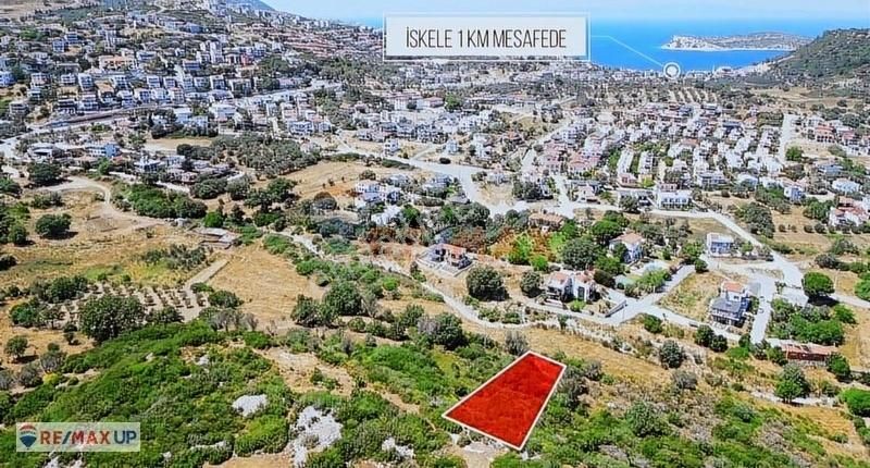Bodrum Koyuna 400 M Mesafede 619 M² Bağ - Görsel 3