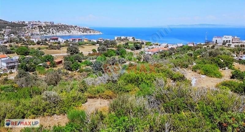 Bodrum Koyuna 400 M Mesafede 619 M² Bağ - Görsel 4
