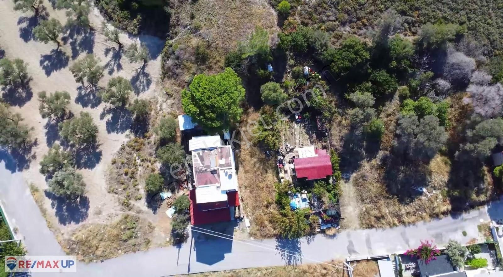 Mordoğan'da Denize 700 Metre Mesafede İmarlı Arsa - Görsel 2