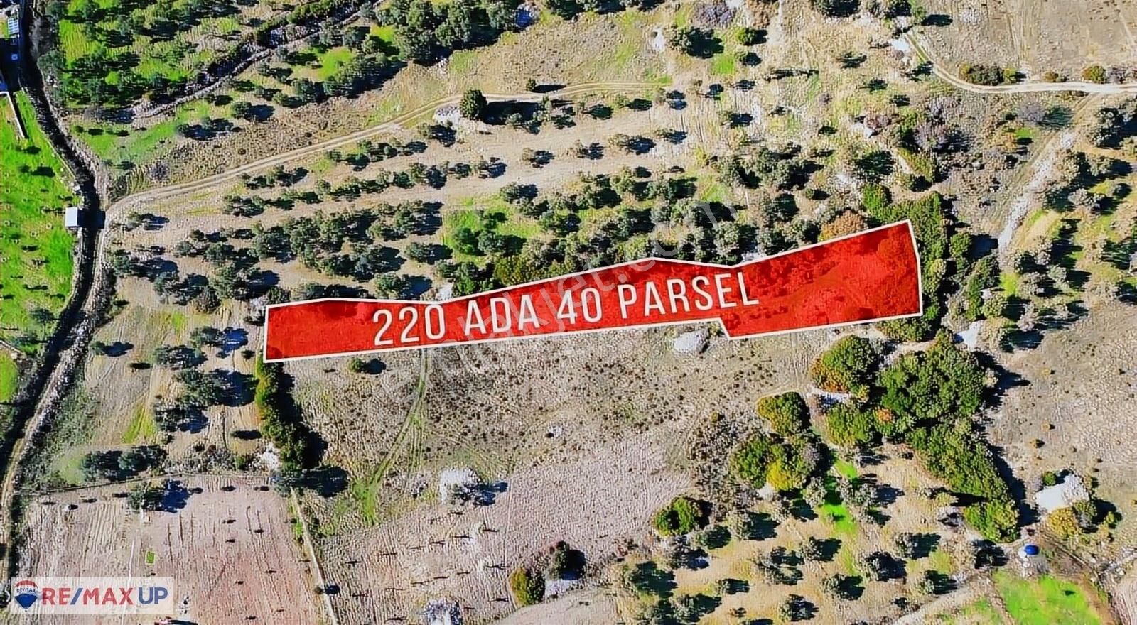 Karaburun Kösederede 2.686 M2 Arazi - Görsel 7