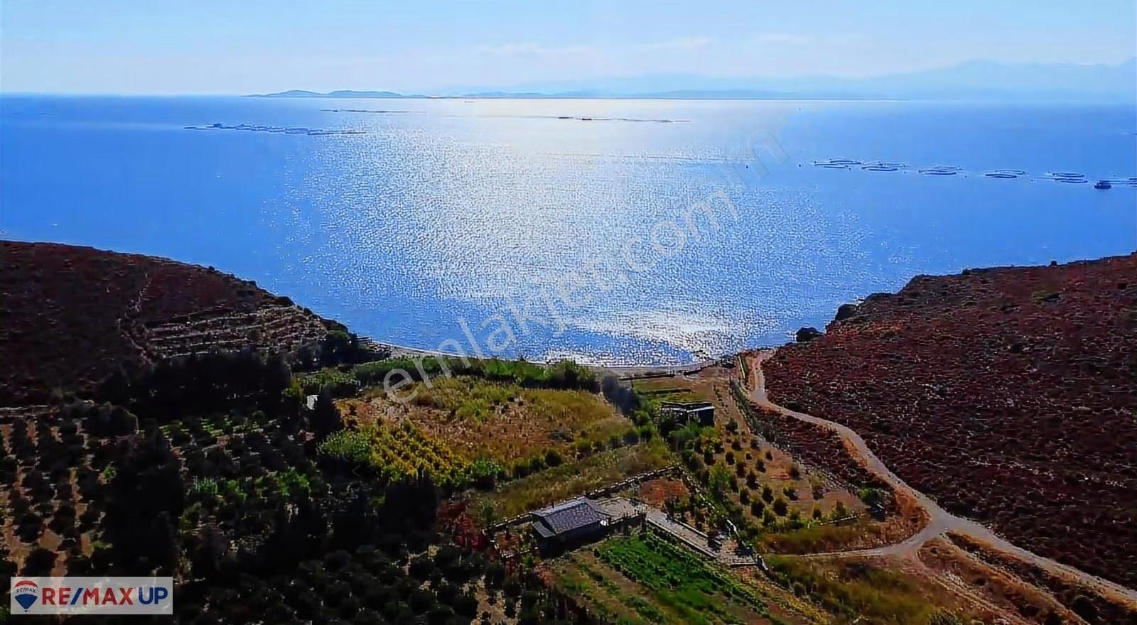 Karaburun Badembükünde Satılık Tarla