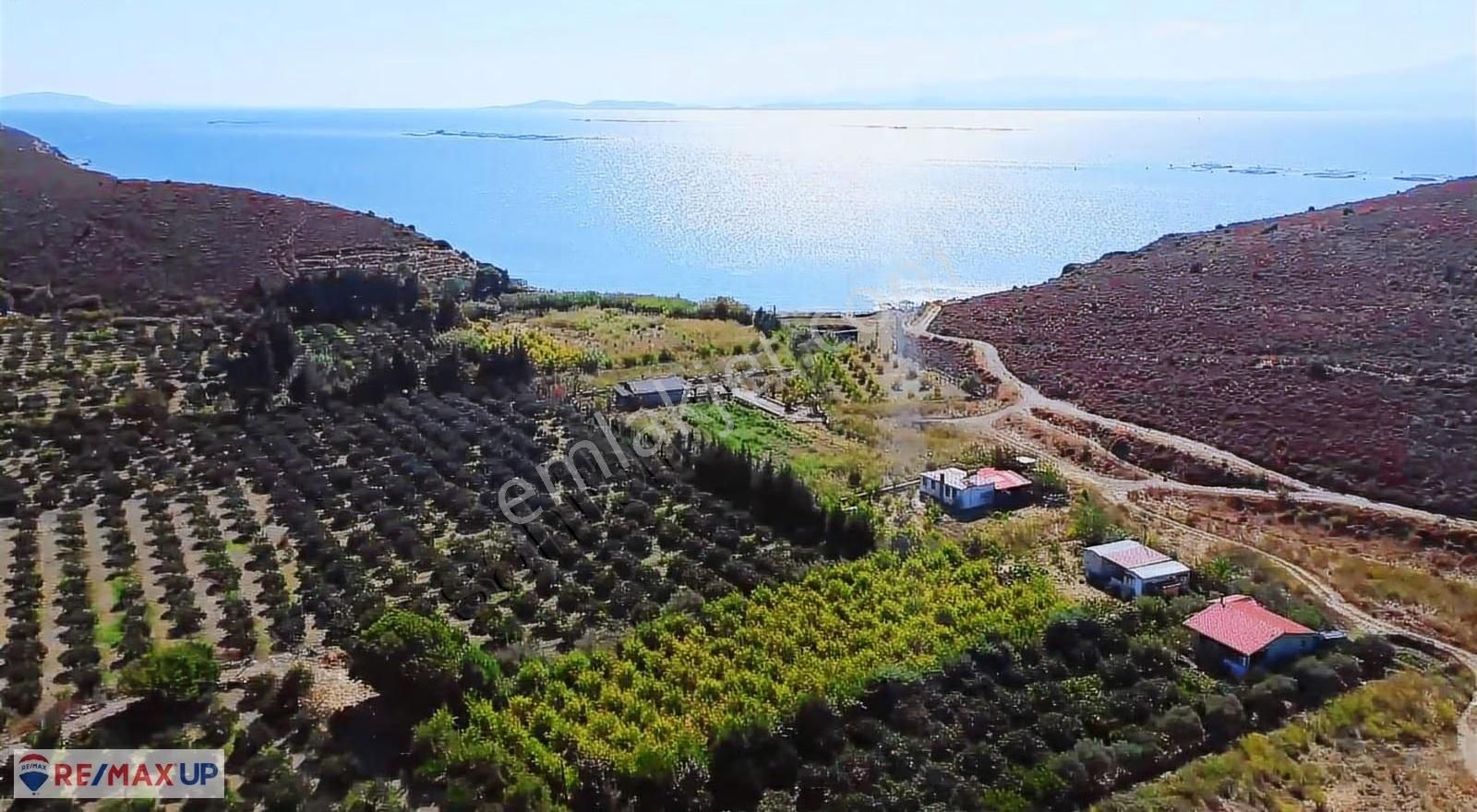 Karaburun Badembükünde Satılık Tarla - Görsel 3