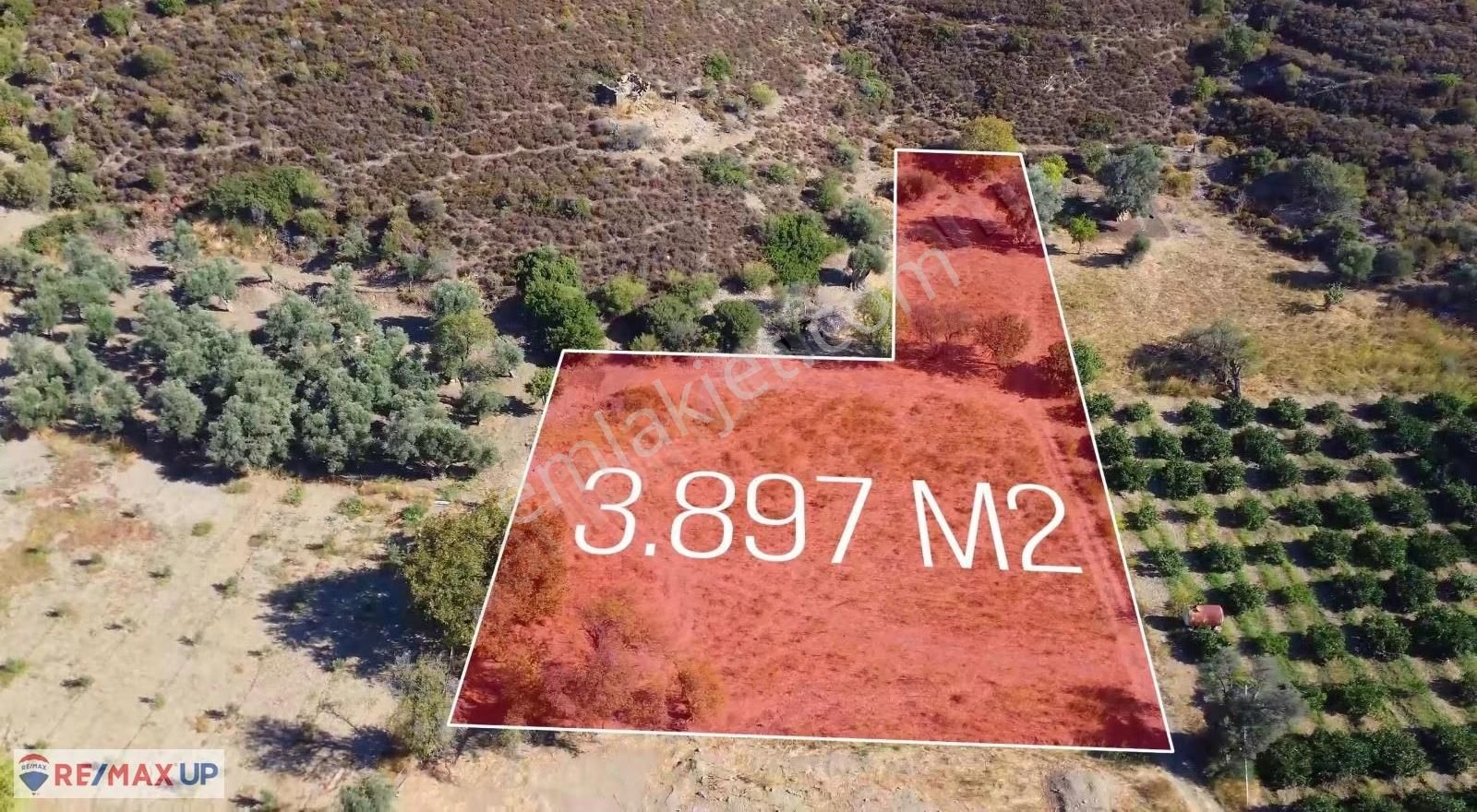 Karaburun Badembükünde Satılık Geniş Tarla - Görsel 8