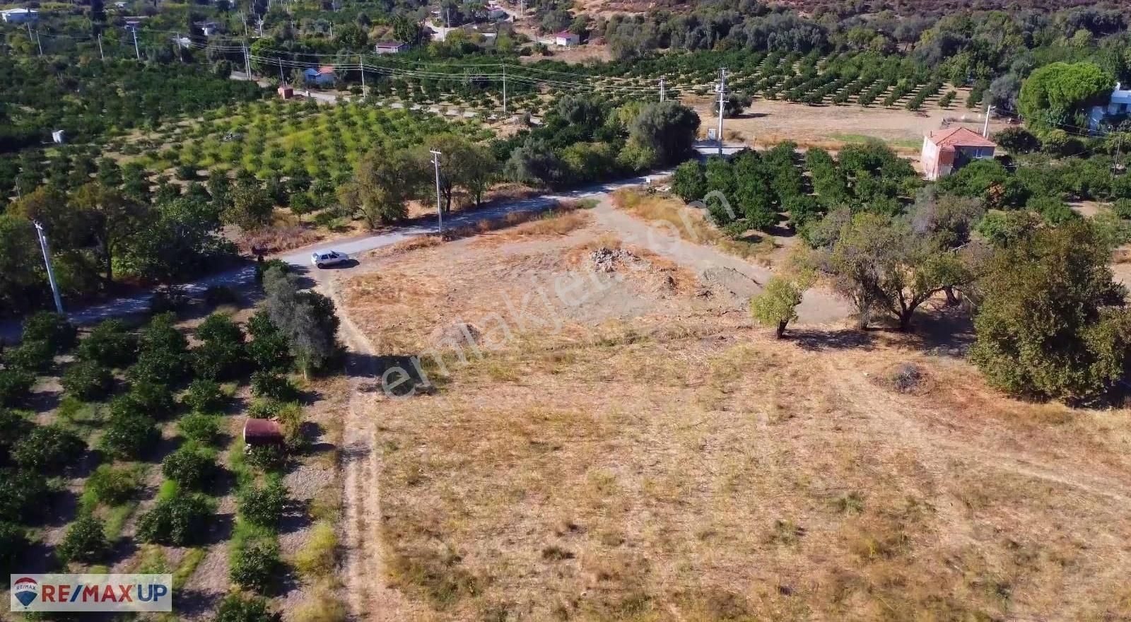 Karaburun Badembükünde Satılık Geniş Tarla - Görsel 4