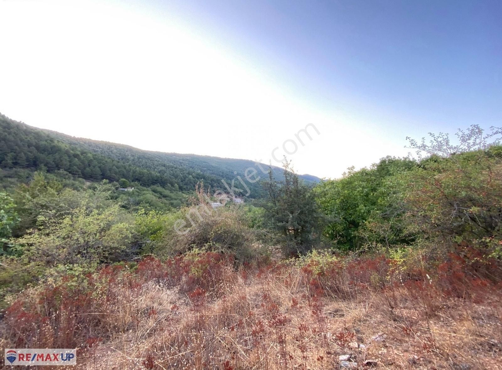 Bayındır Kenger Yaylasında Müstakil Tapulu Yatırımlık Kirazlık - Görsel 8